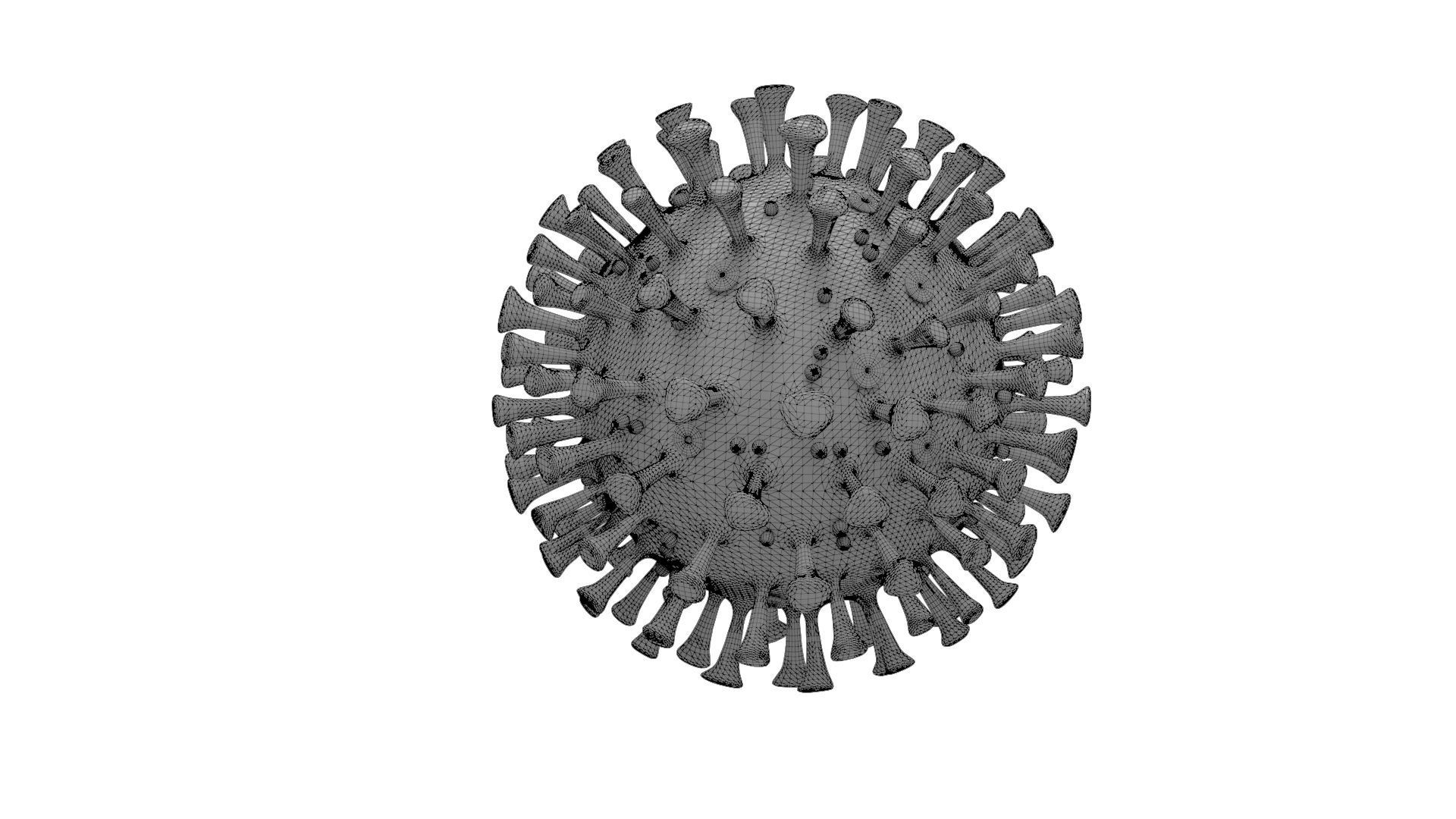 Printable Coronavirus Solid and Cross-Section 3D print model_8