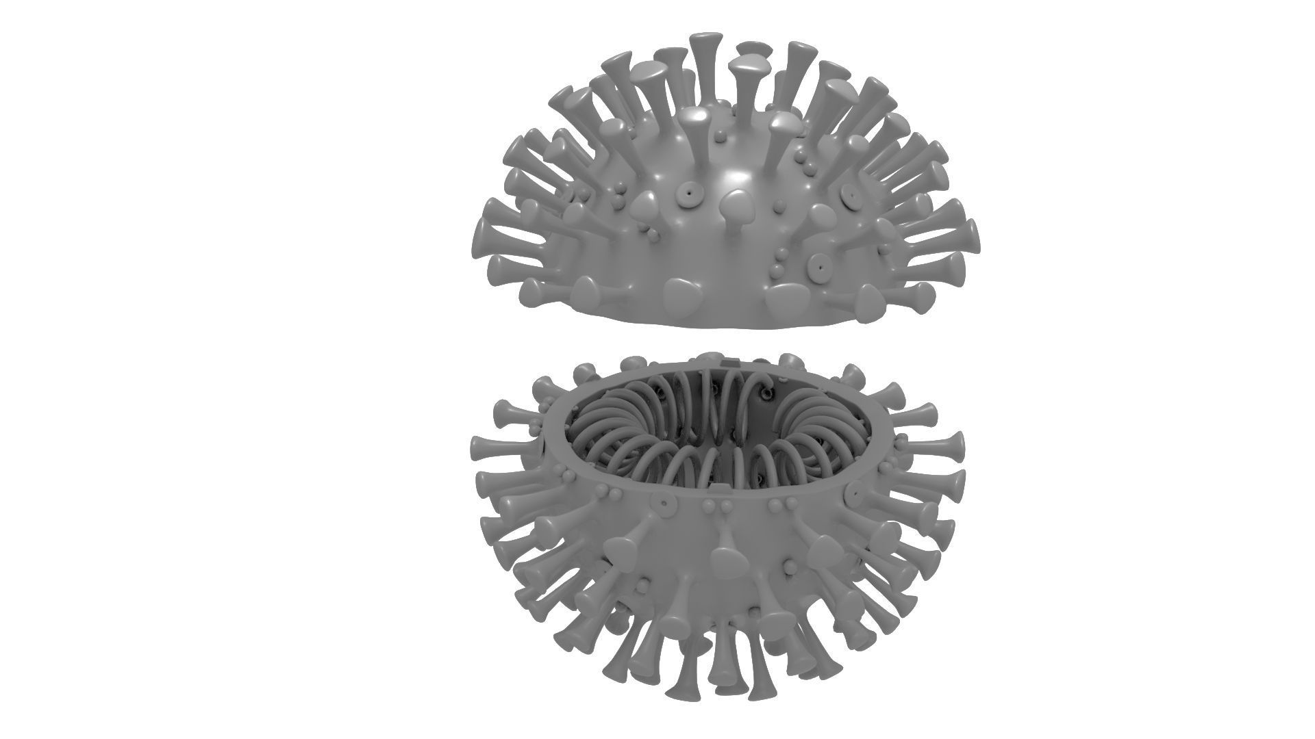 Printable Coronavirus Solid and Cross-Section 3D print model_9