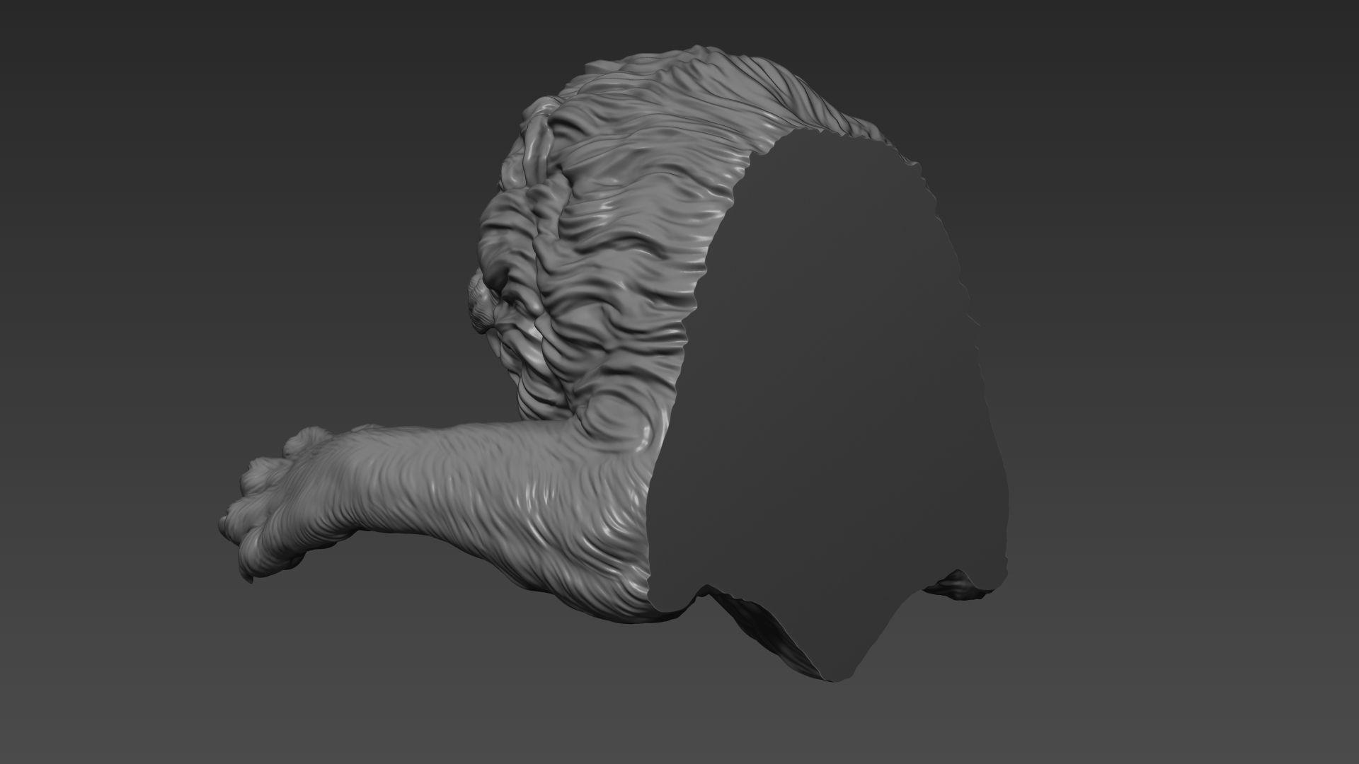 Lion leaping 3D print model_18