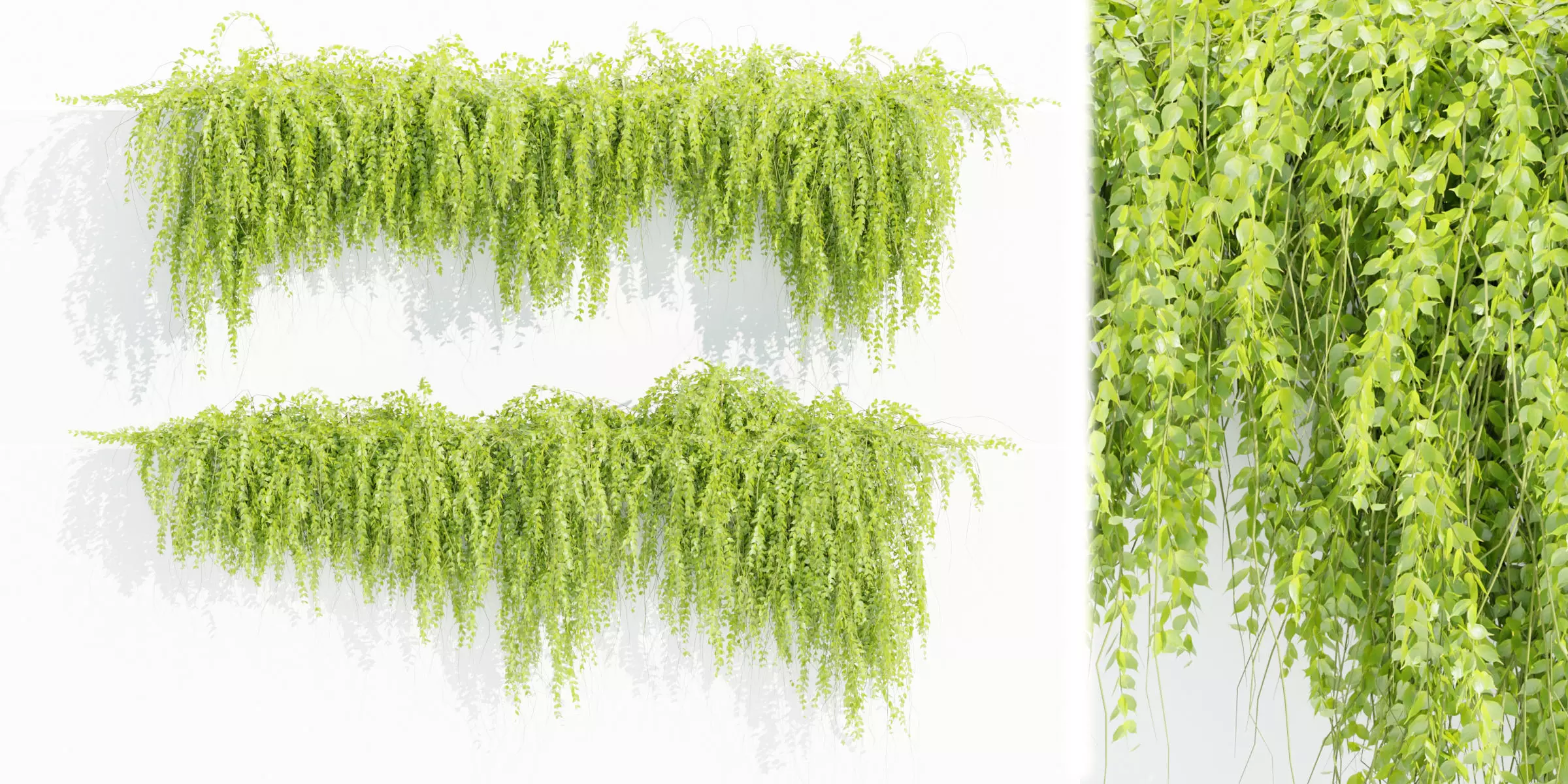 Hanging wall plants vol 118-Blender 3D model_0