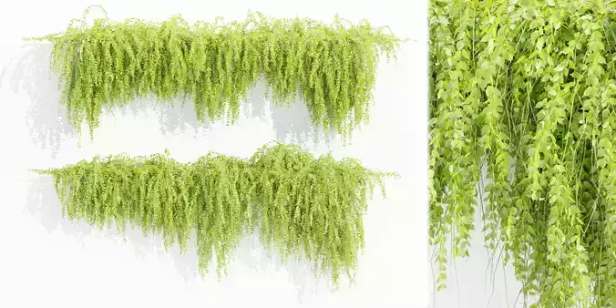 Hanging wall plants vol 118-Blender
