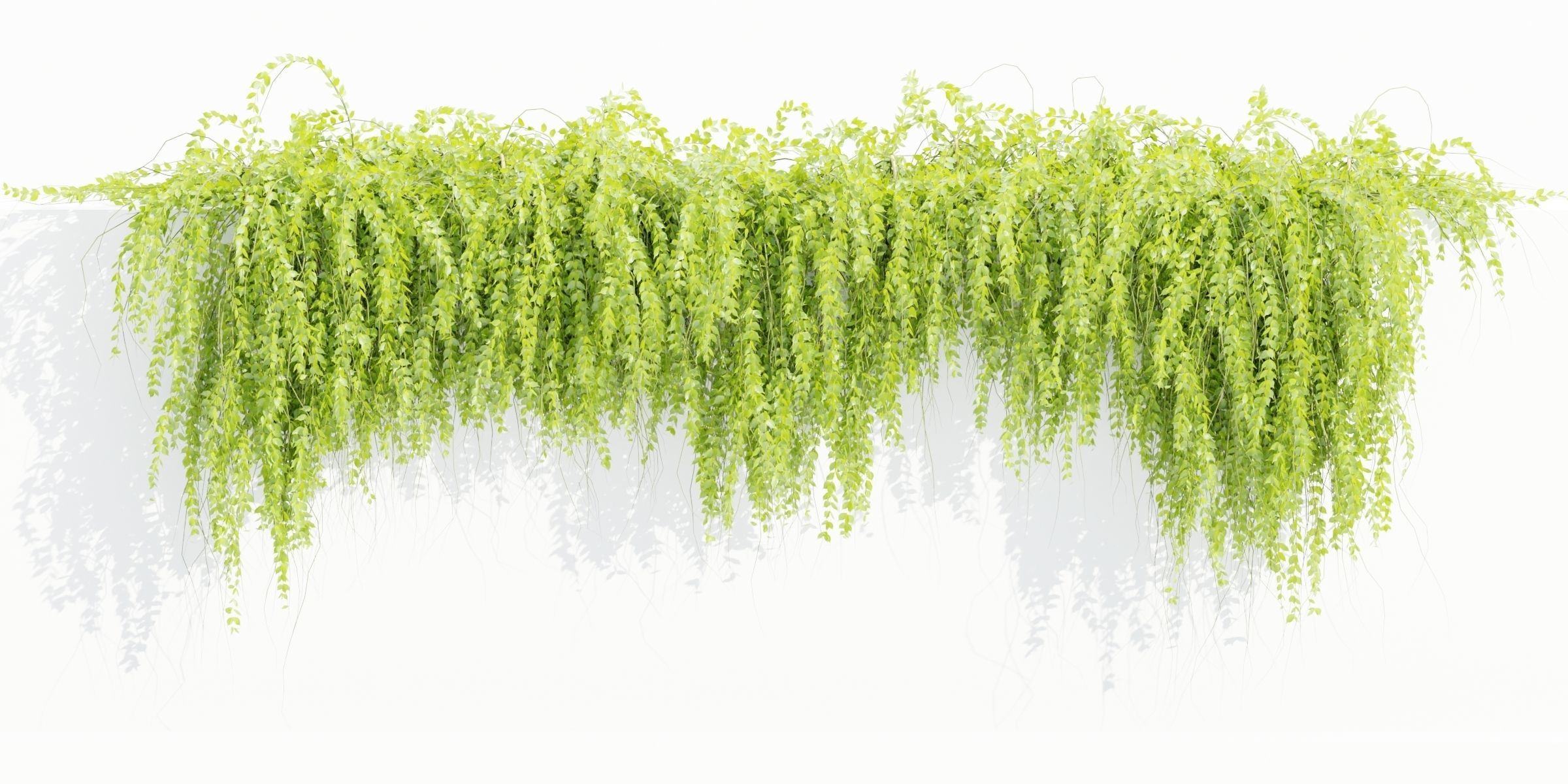 Hanging wall plants vol 118-Blender 3D model_2