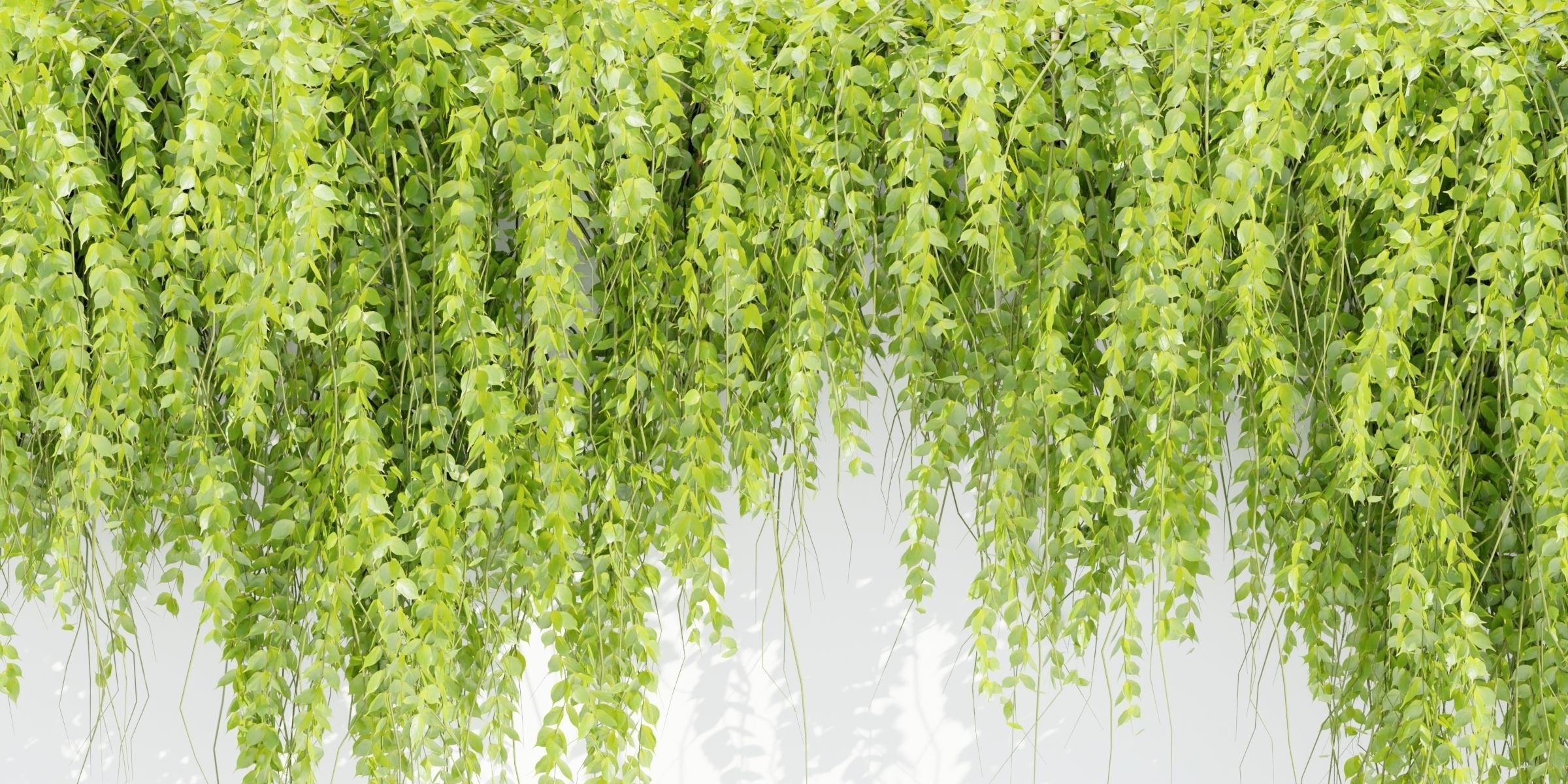 Hanging wall plants vol 118-Blender 3D model_4