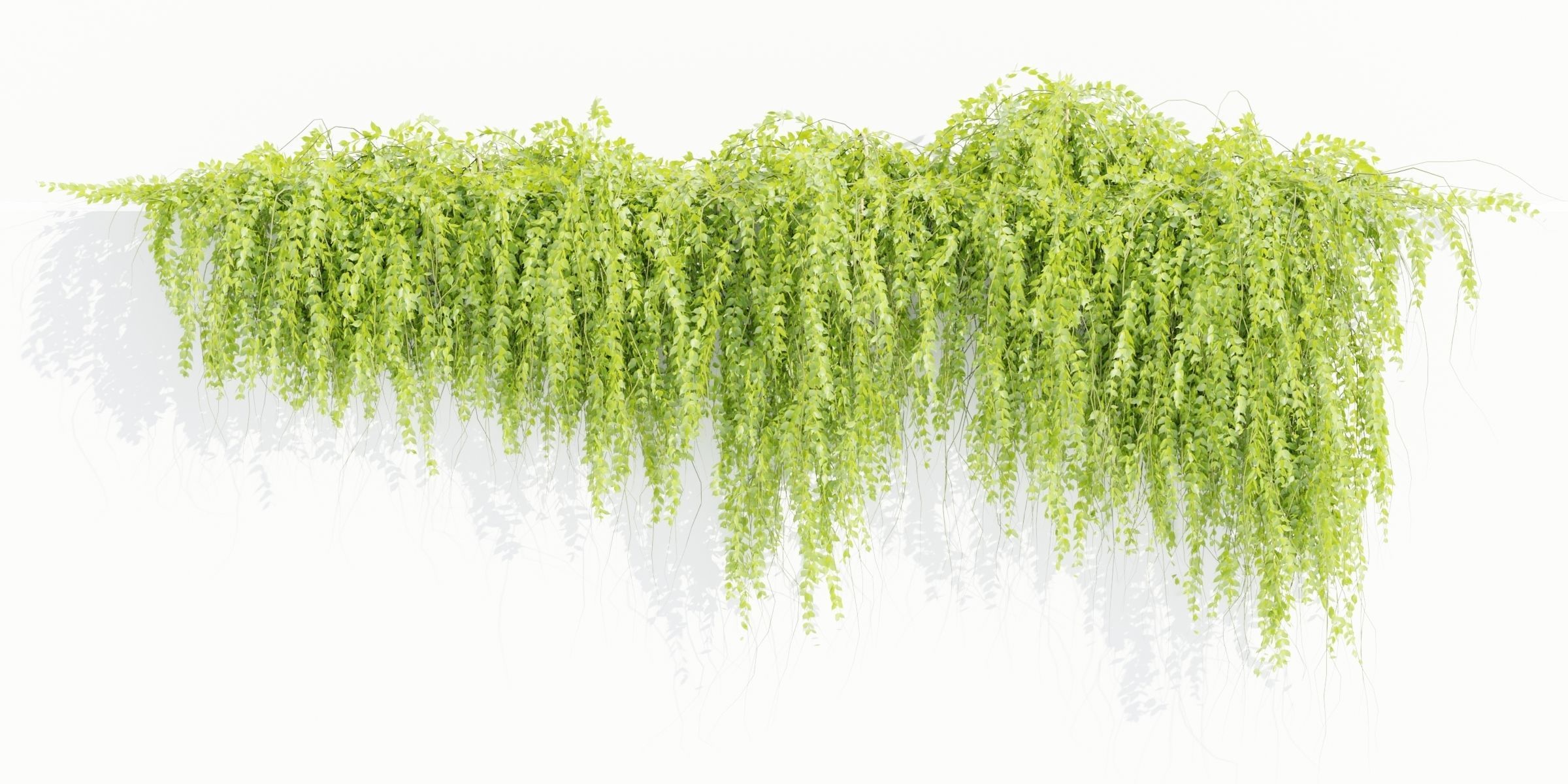 Hanging wall plants vol 118-Blender 3D model_3