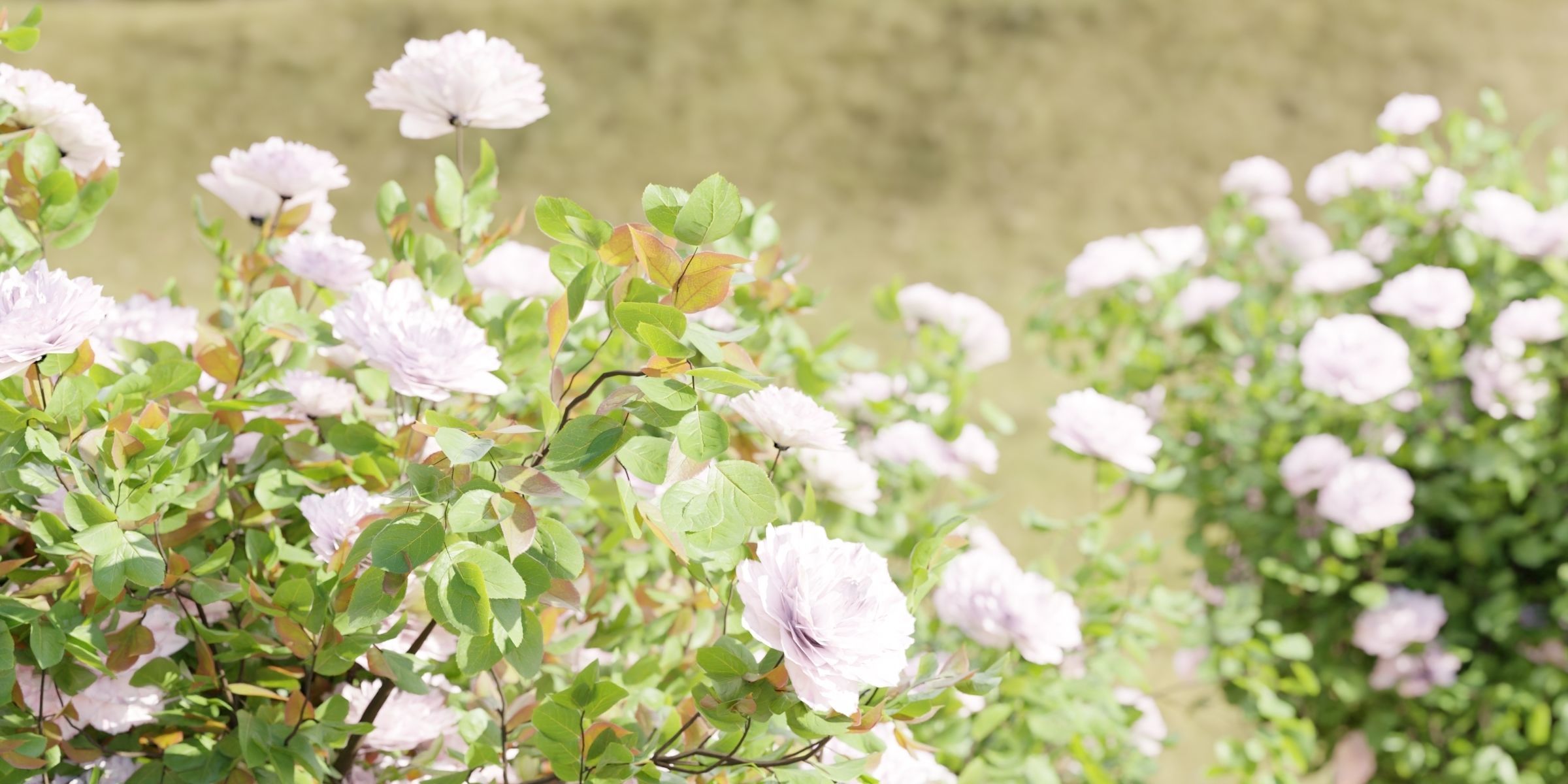 Rose bushes collection vol 121-Blender 3D model_1