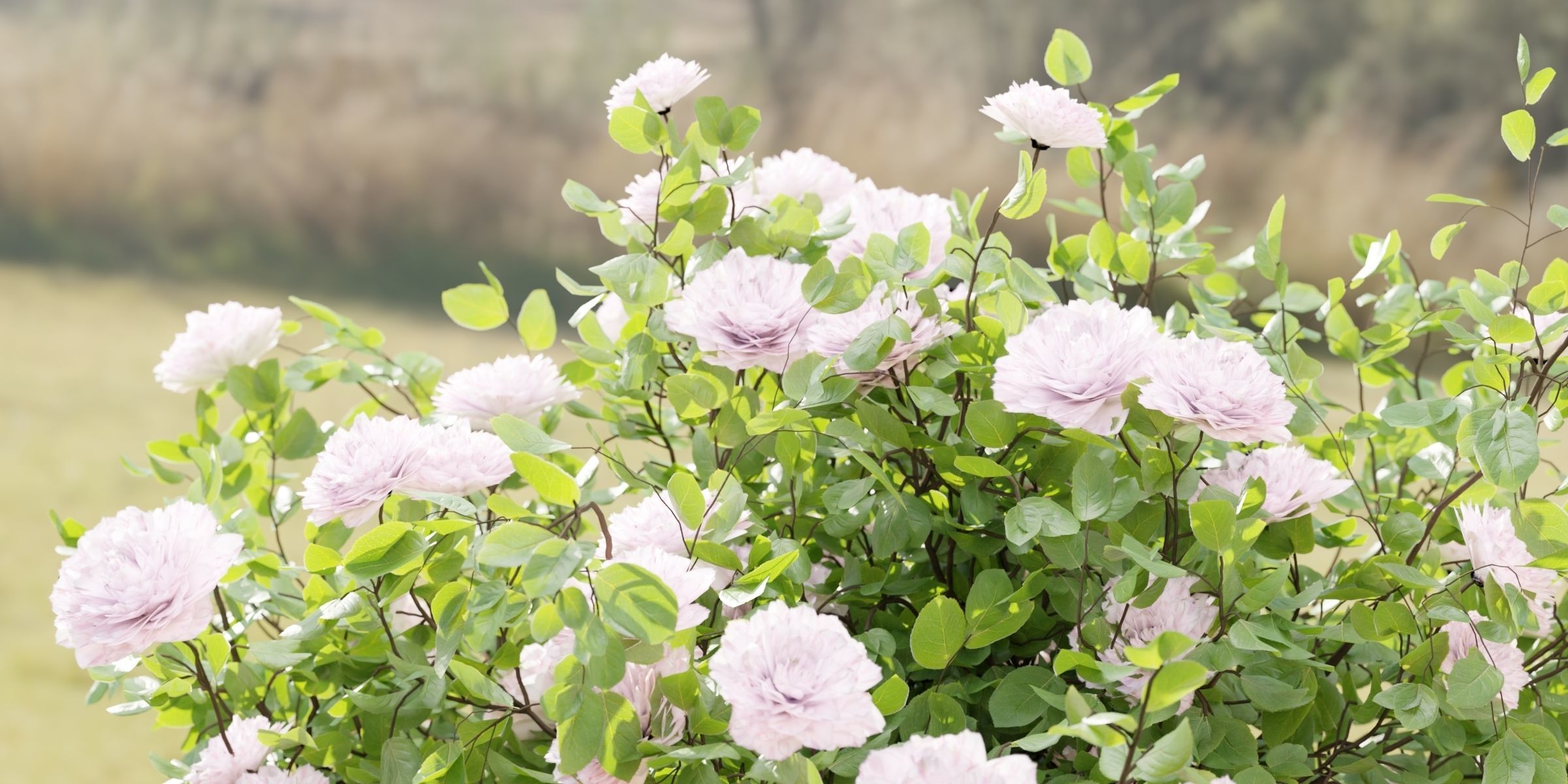 Rose bushes collection vol 121-Blender 3D model_2