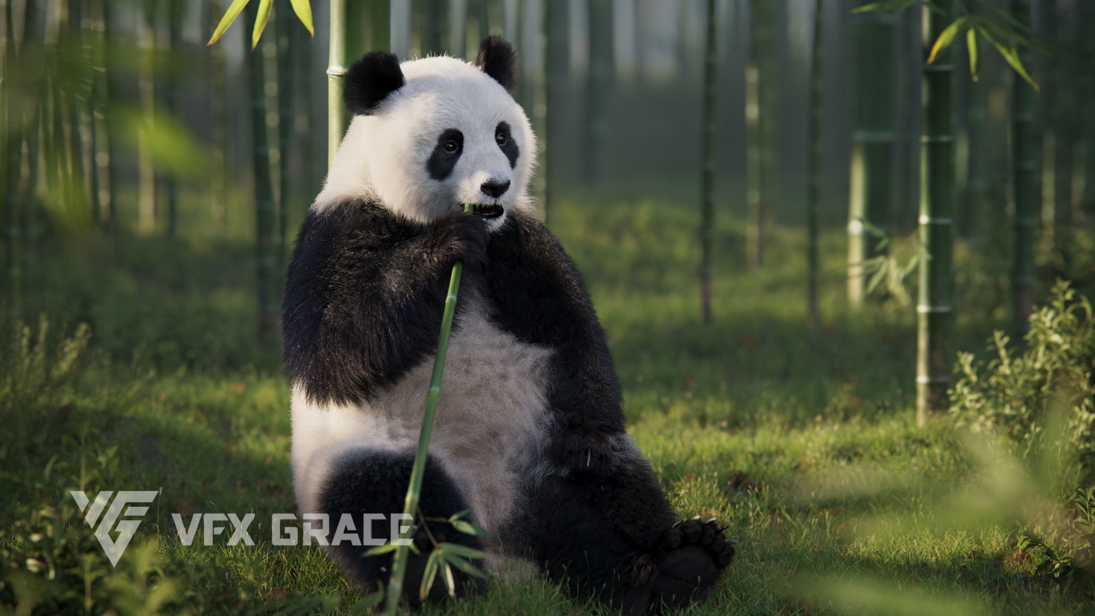 Panda Animation Vfx Grace 3D model_5
