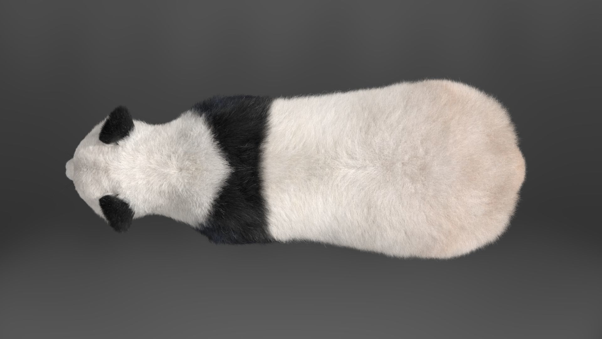 Panda Animation Vfx Grace 3D model_21
