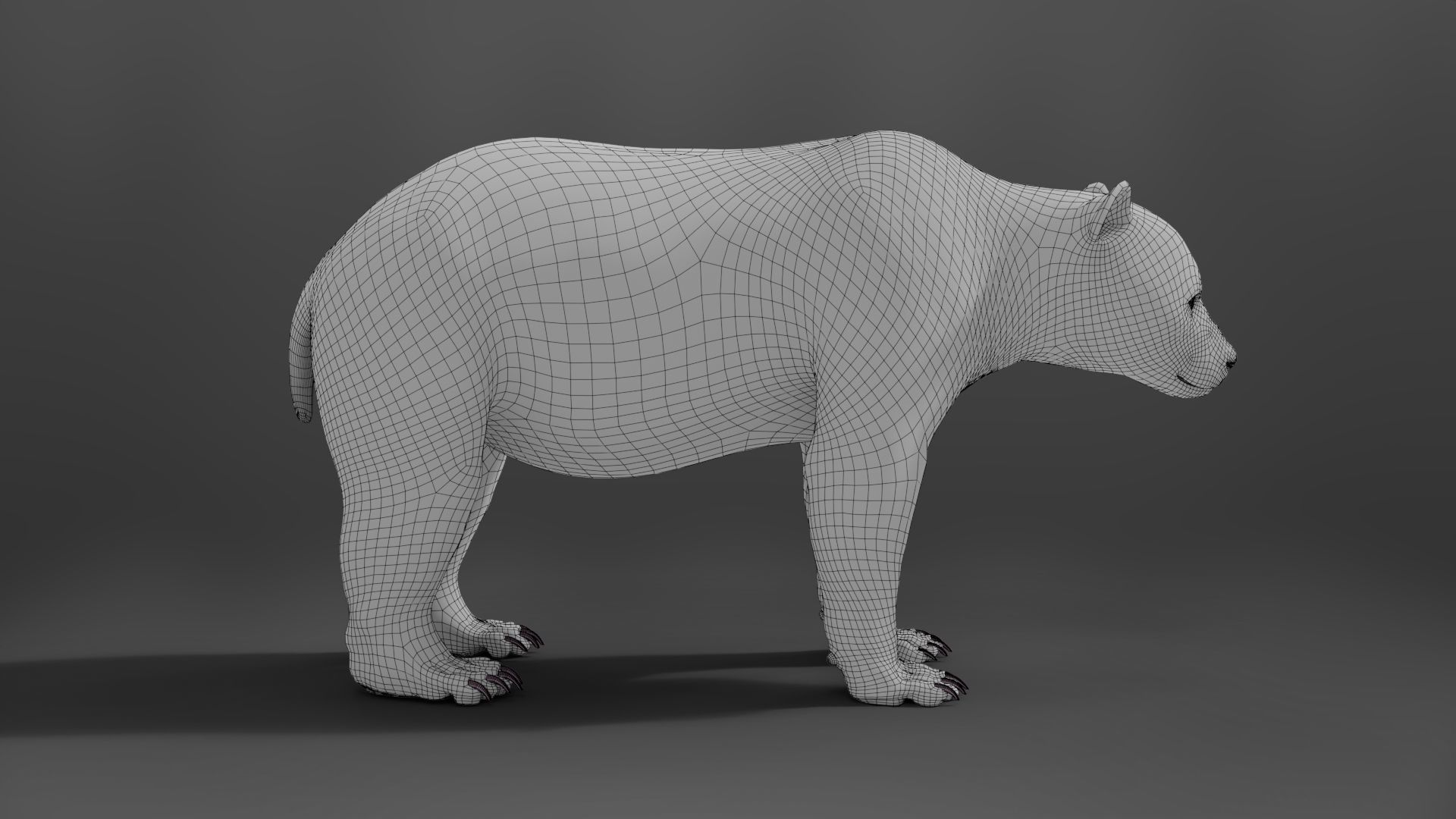 Panda Animation Vfx Grace 3D model_29