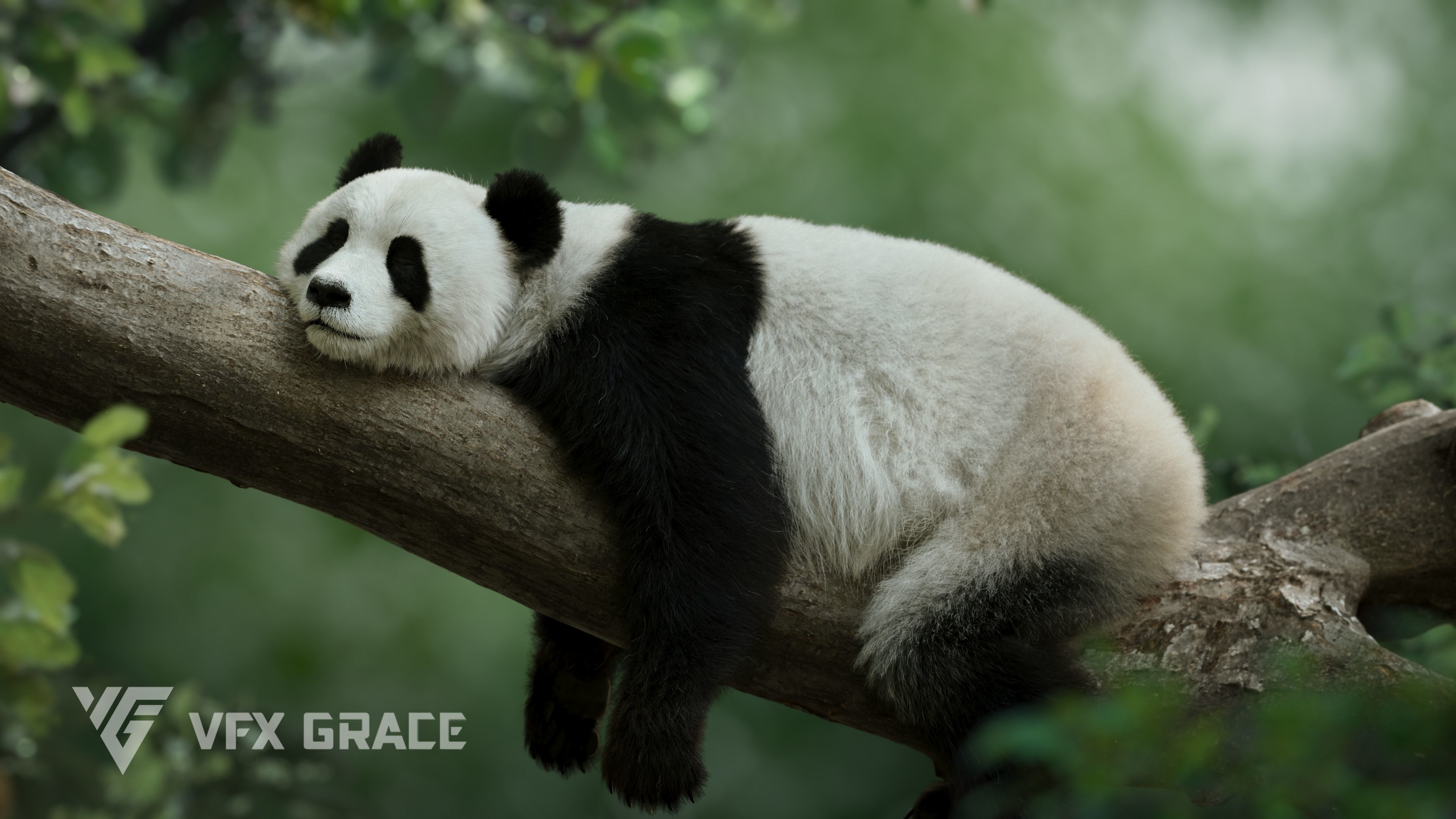 Panda Animation Vfx Grace 3D model_7