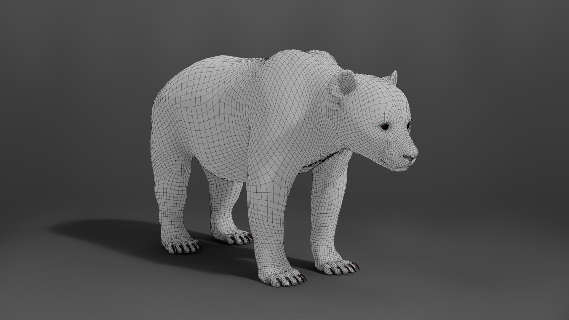Panda Animation Vfx Grace 3D model_30