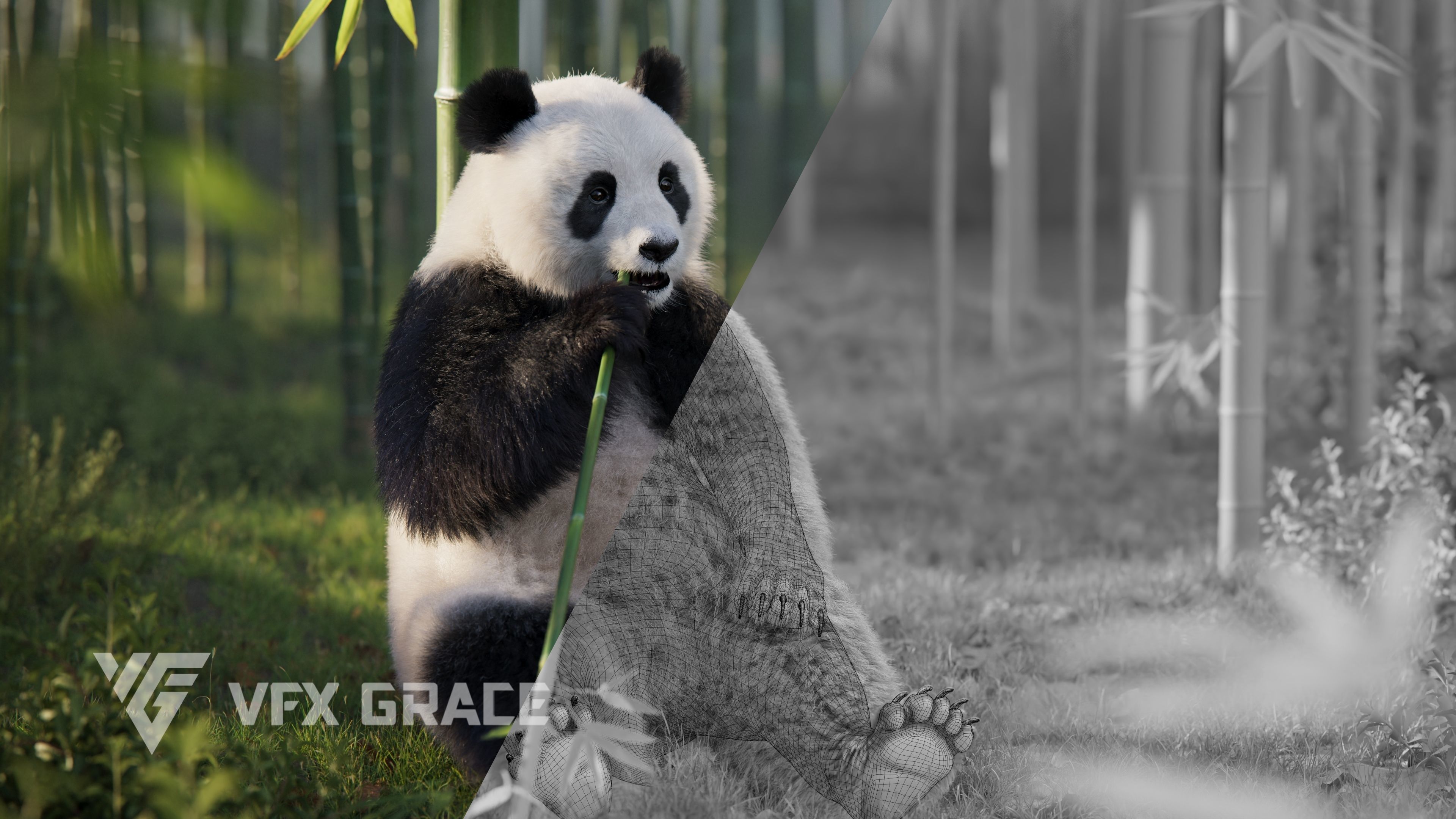 Panda Animation Vfx Grace 3D model_6