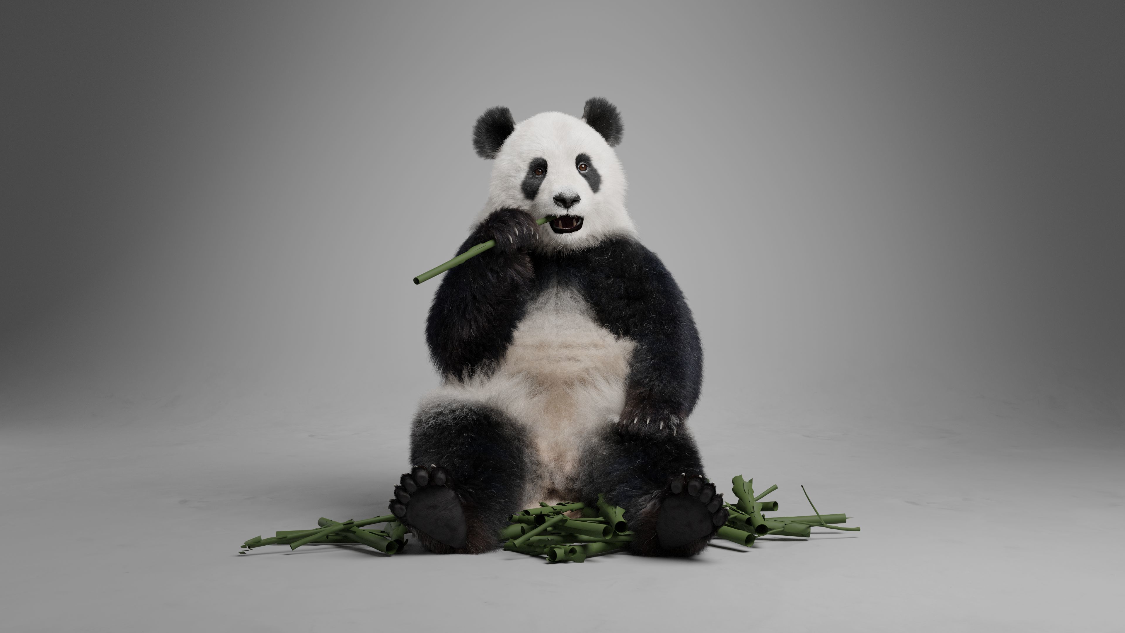 Panda Animation Vfx Grace 3D model_19