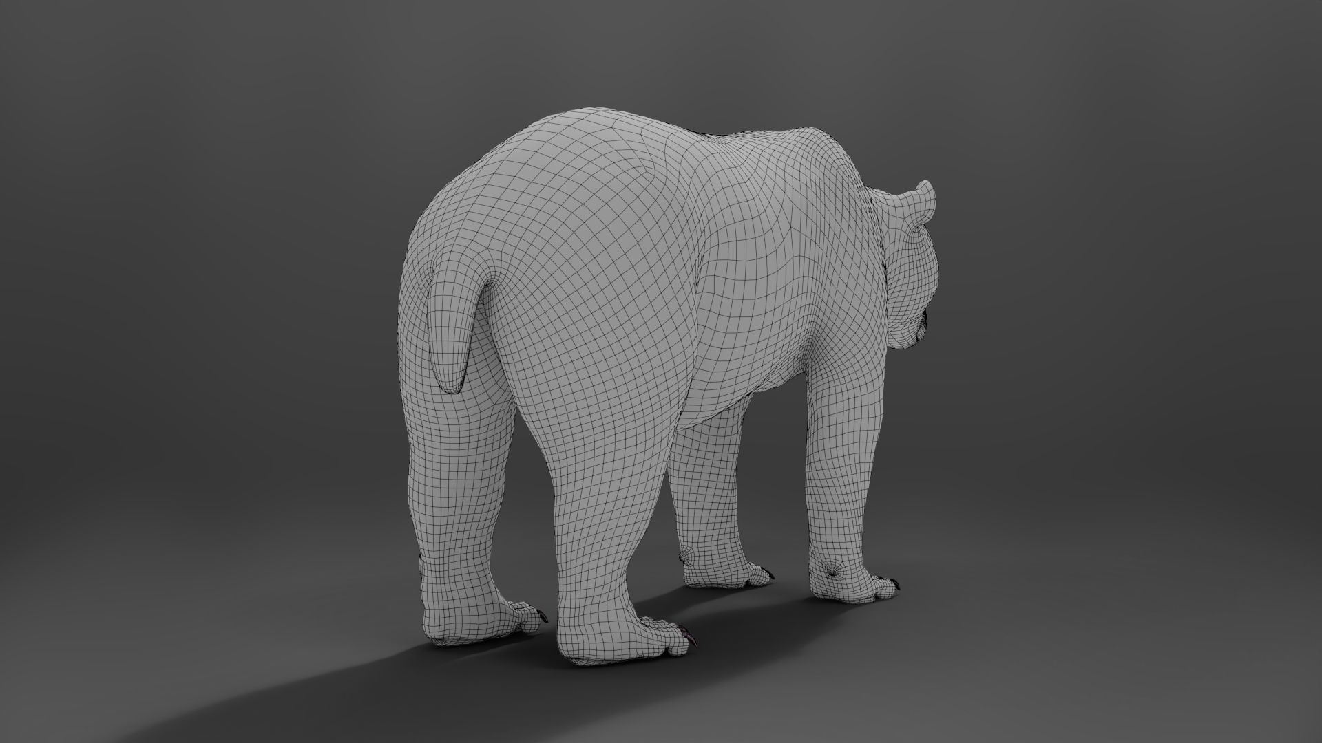 Panda Animation Vfx Grace 3D model_31