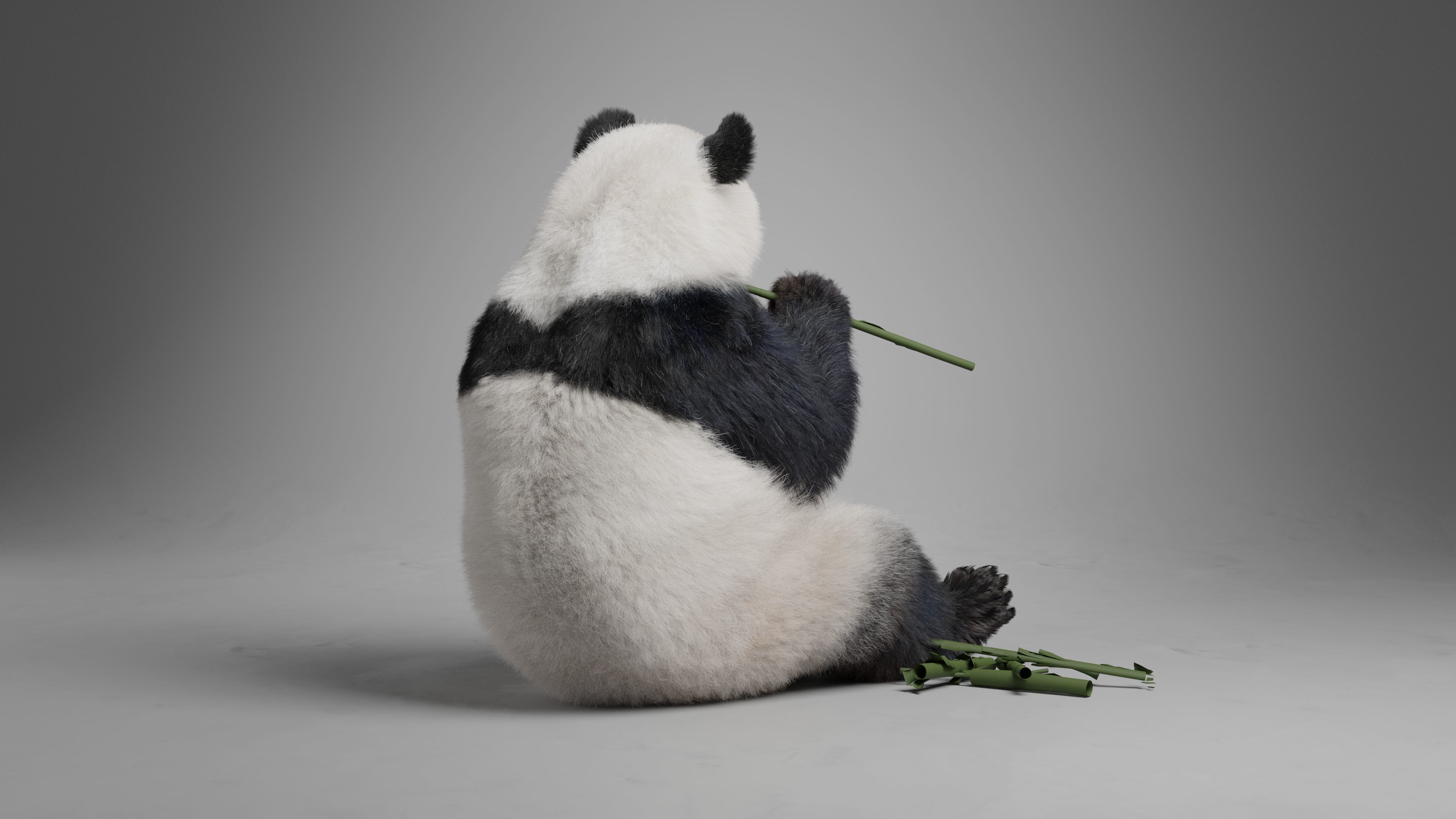 Panda Animation Vfx Grace 3D model_13