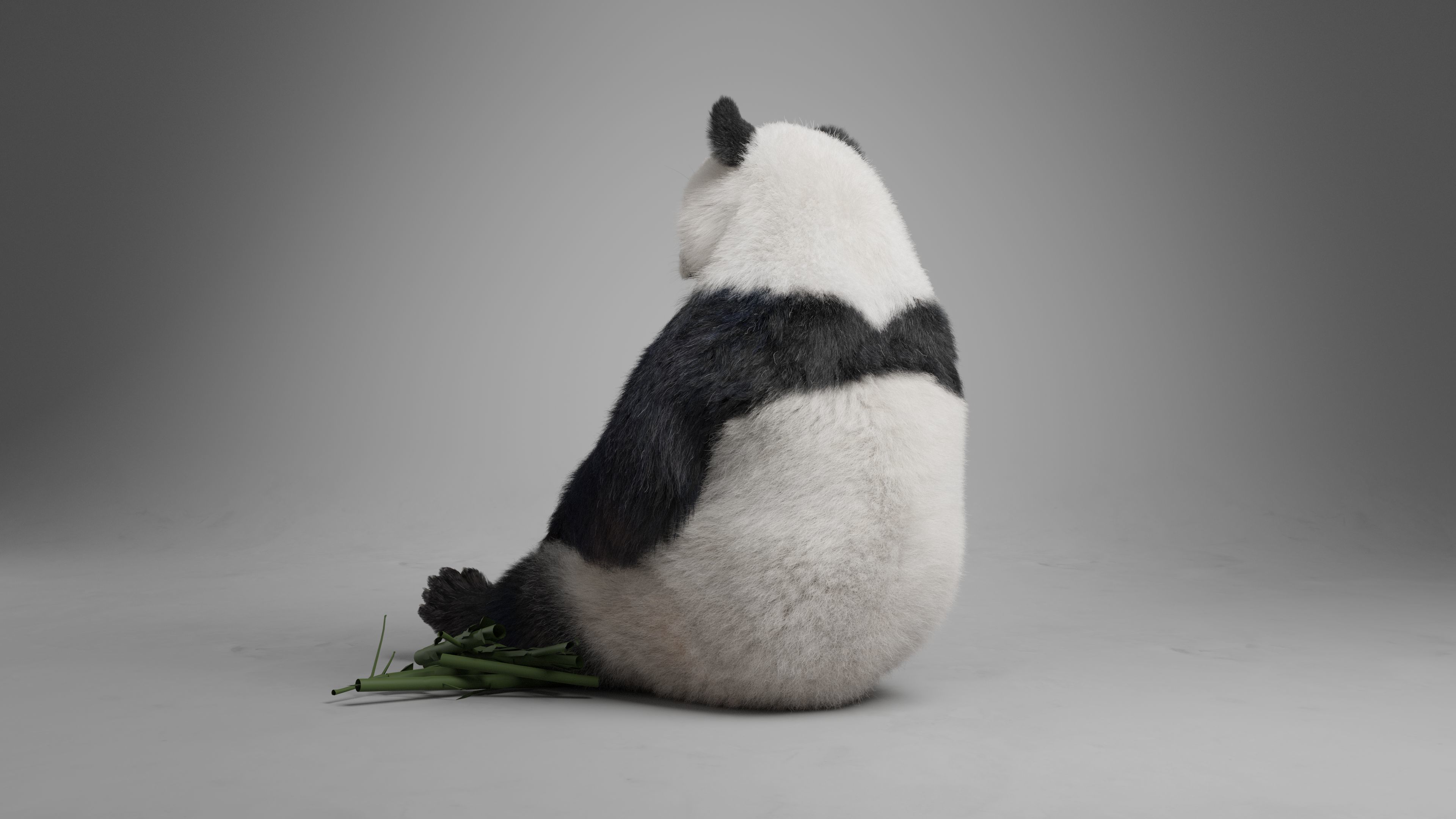 Panda Animation Vfx Grace 3D model_15