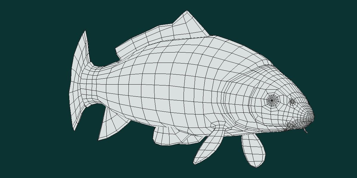 European Carp Fish Low-poly 3D model_12