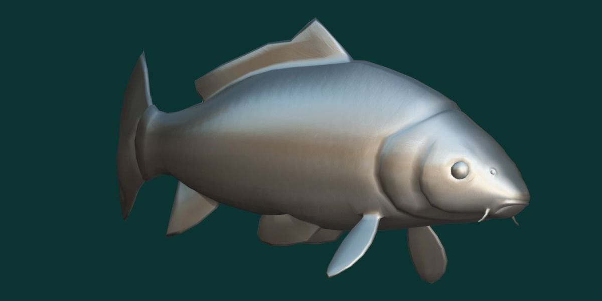 European Carp Fish Low-poly 3D model_11