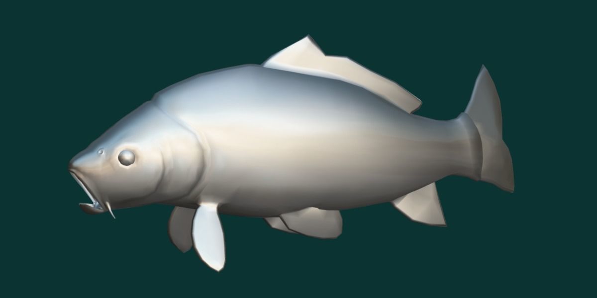 European Carp Fish Low-poly 3D model_9