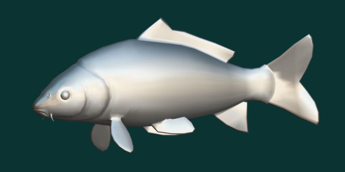 European Carp Fish Low-poly 3D model_10