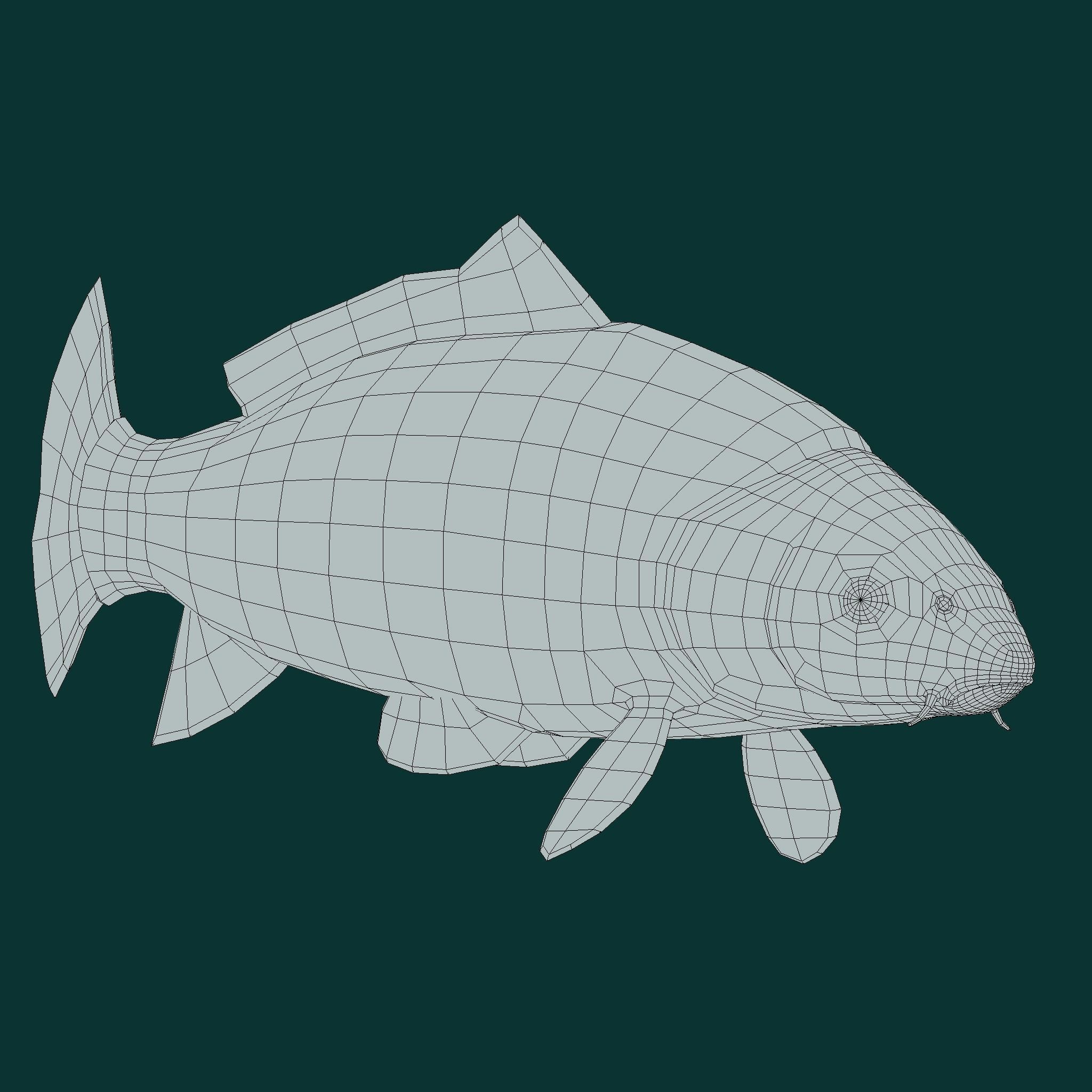 European Carp Fish Low-poly 3D model_20