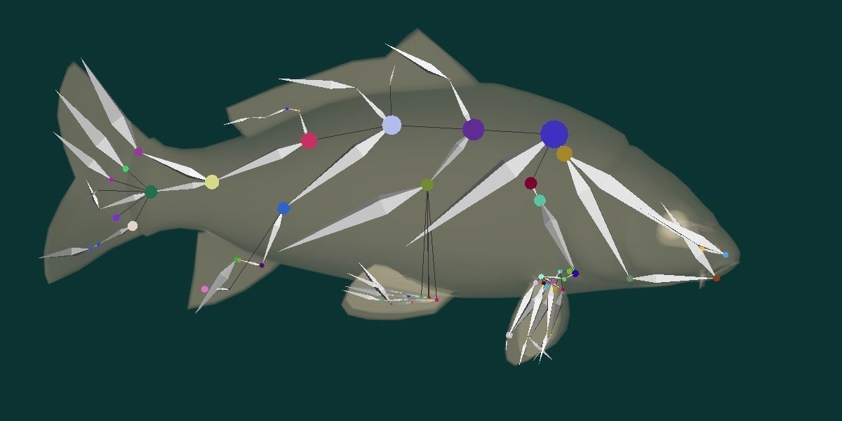 European Carp Fish Low-poly 3D model_23