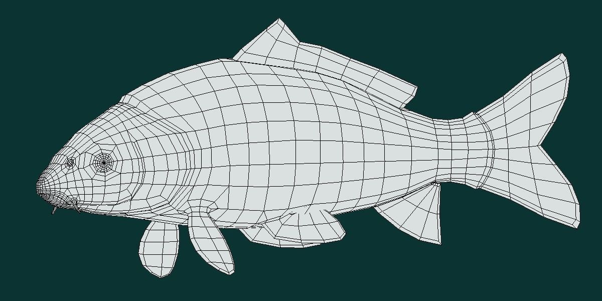 European Carp Fish Low-poly 3D model_13