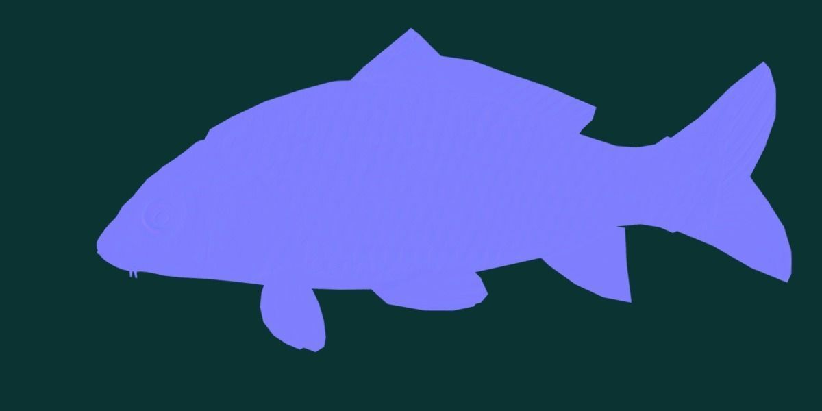 European Carp Fish Low-poly 3D model_26