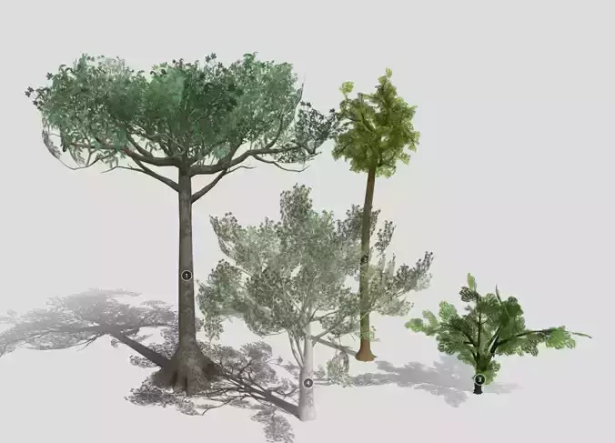 Mid-lowpoly jungle trees