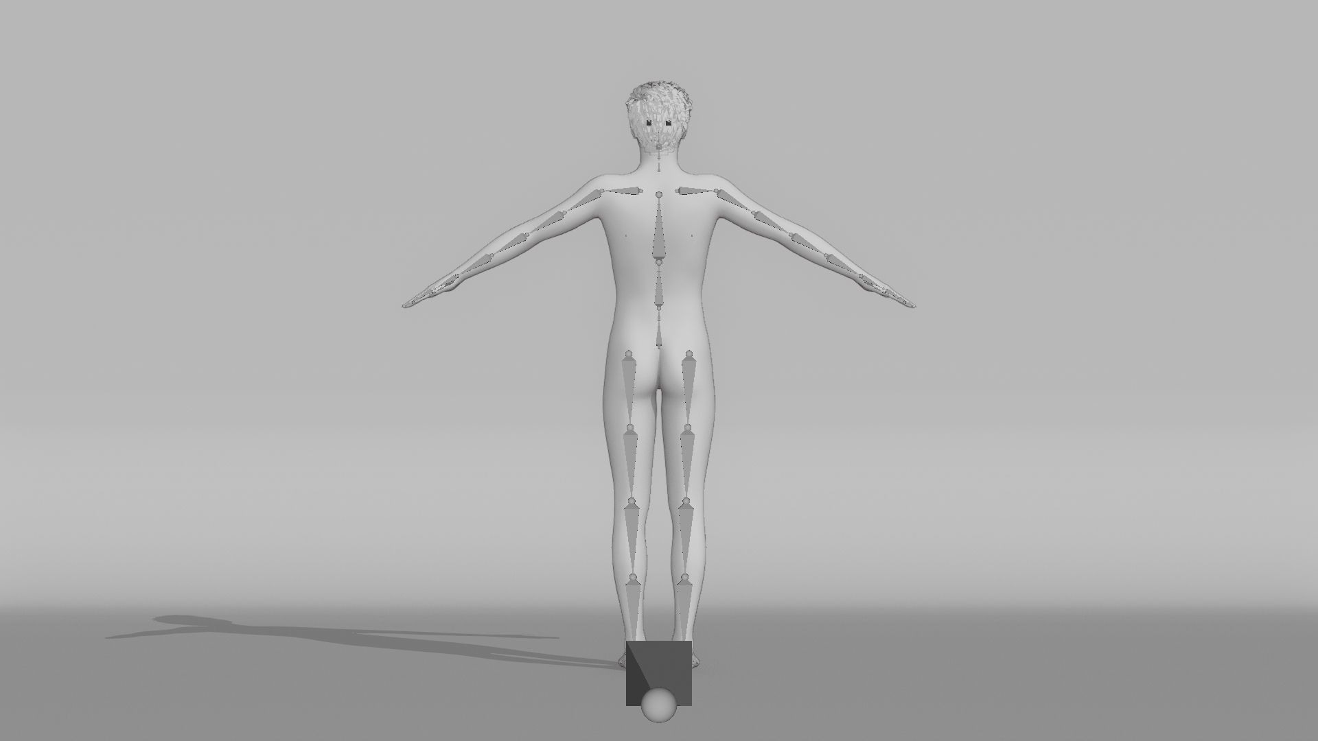 Realistic Male Character - Shawn 3D model_13