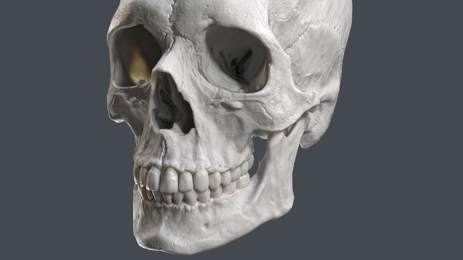 Game ready realistic male and female skull 8K- low poly Low-poly 3D model_11