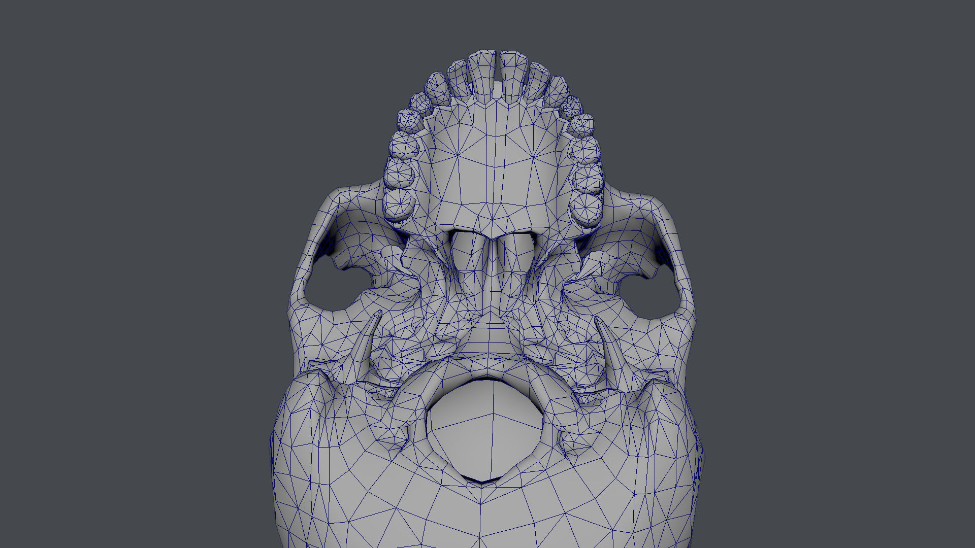 Game ready realistic male and female skull 8K- low poly Low-poly 3D model_20