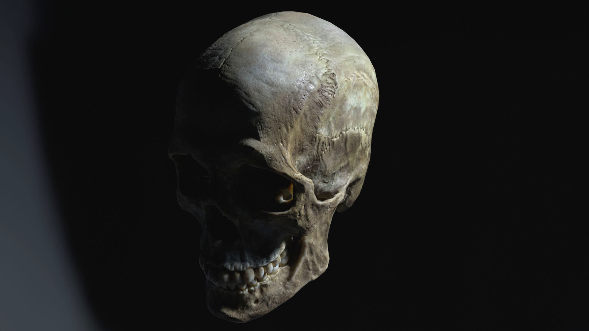 Game ready realistic male and female skull 8K- low poly Low-poly 3D model_26