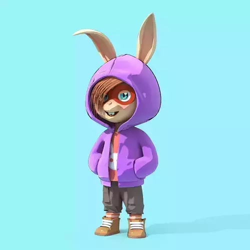 Bunny Collection 807