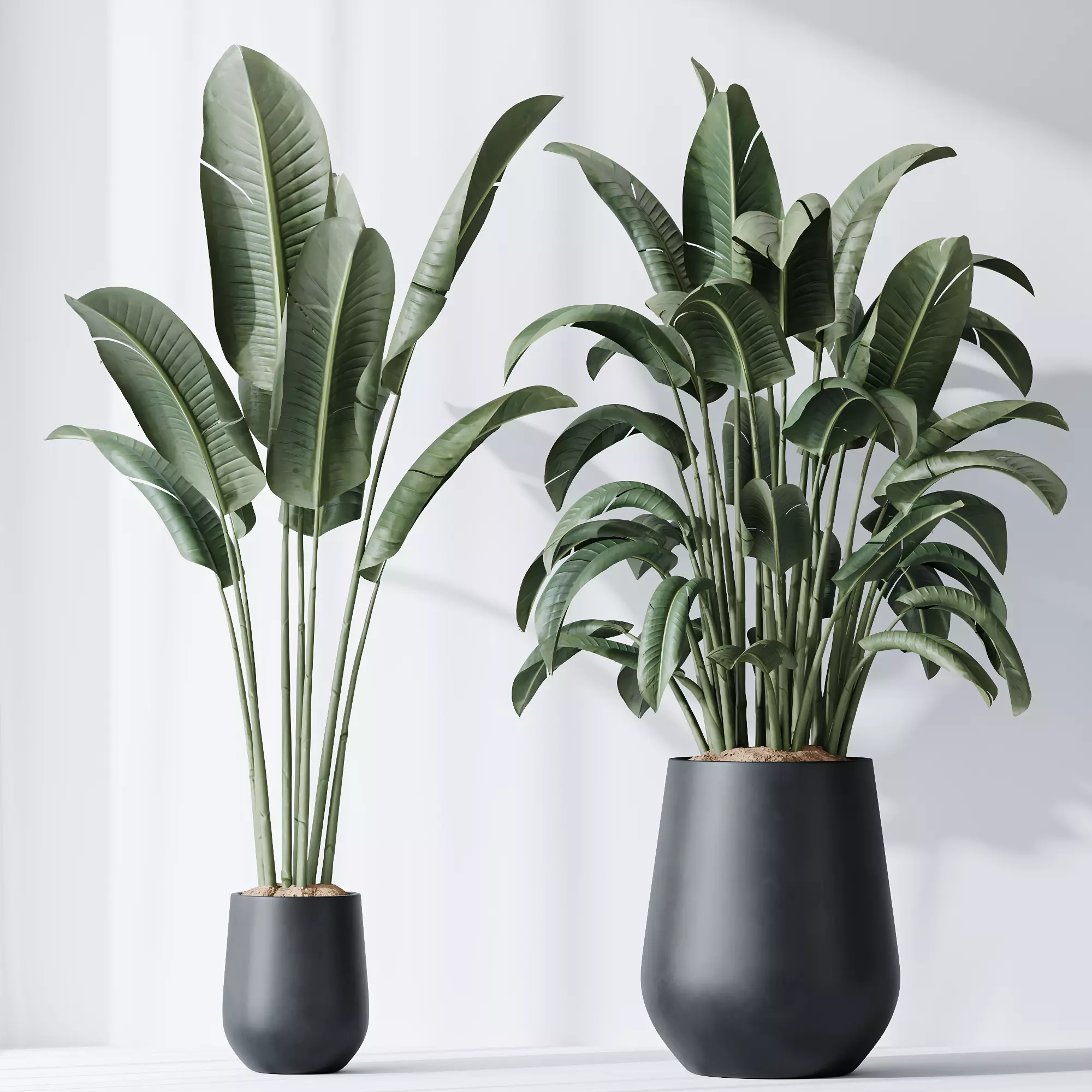 HQ Plants Bird Of ParadiseBird Vase Set04 3D model