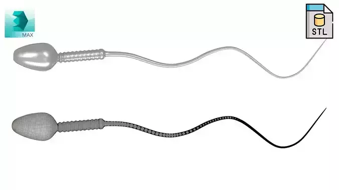 Printable Sperm Cell 3D print model