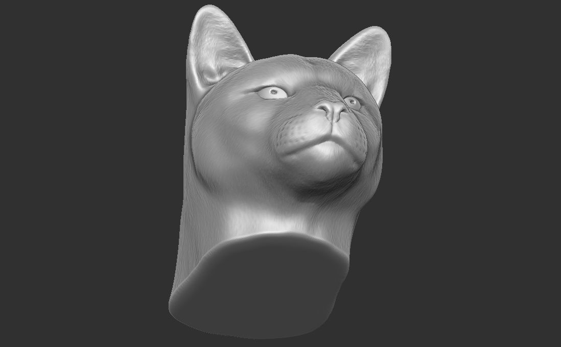 Cougar Mountain Lion head for 3D printing 3D print model_17