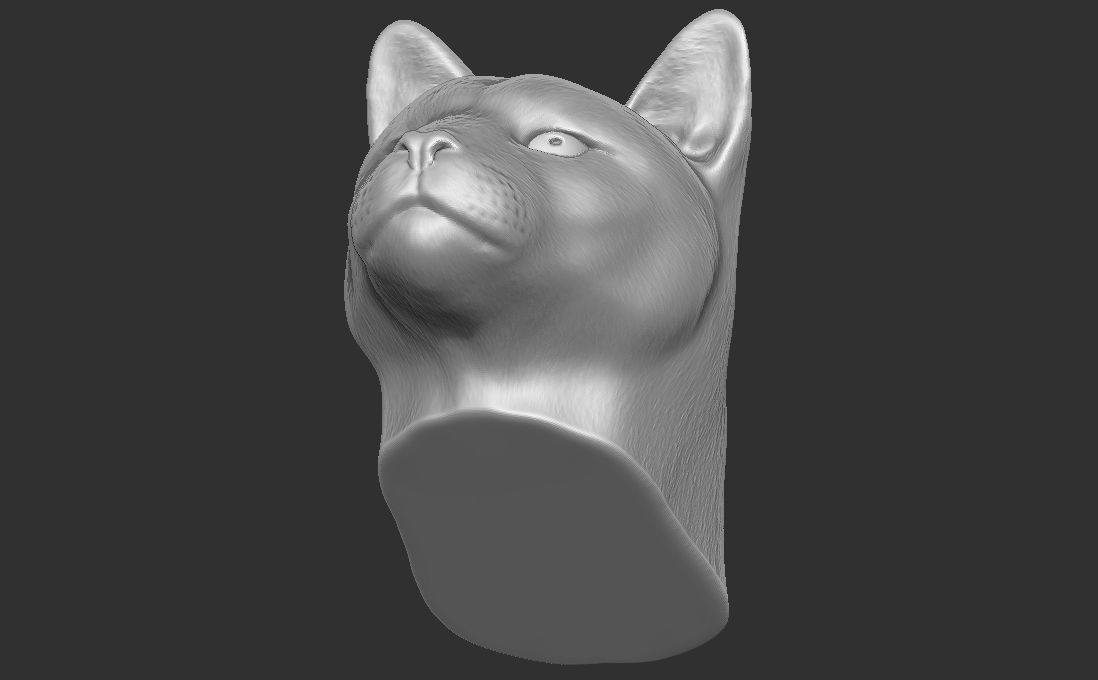 Cougar Mountain Lion head for 3D printing 3D print model_18