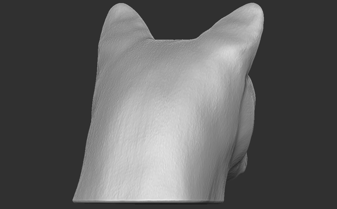 Cougar Mountain Lion head for 3D printing 3D print model_12