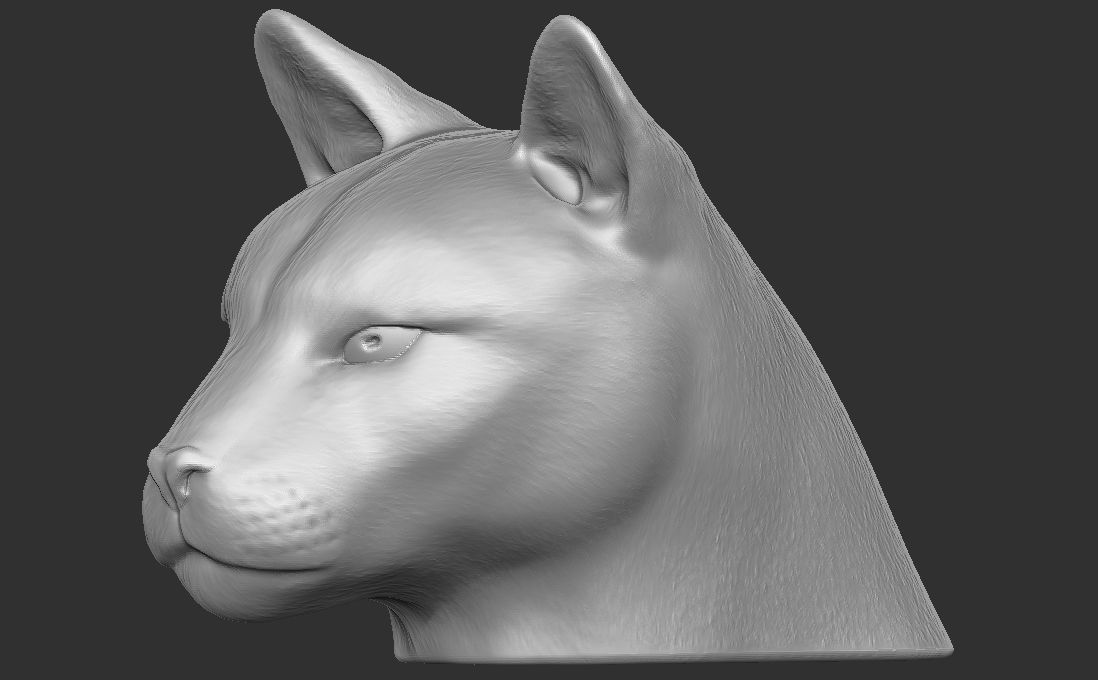 Cougar Mountain Lion head for 3D printing 3D print model_7