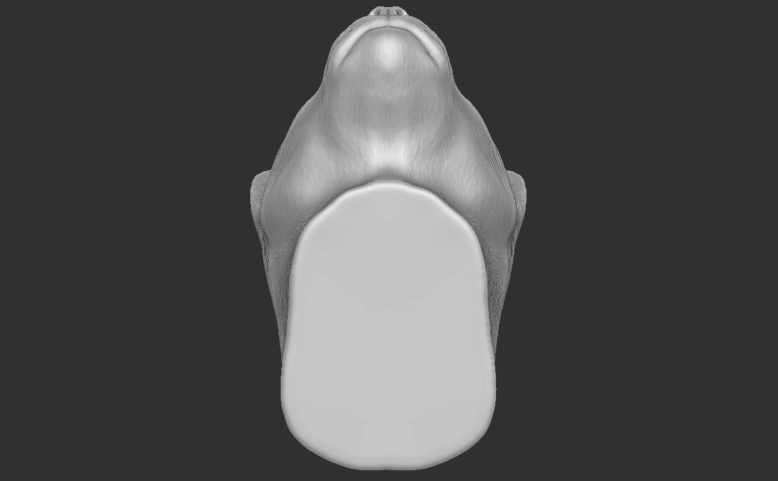 Cougar Mountain Lion head for 3D printing 3D print model_22