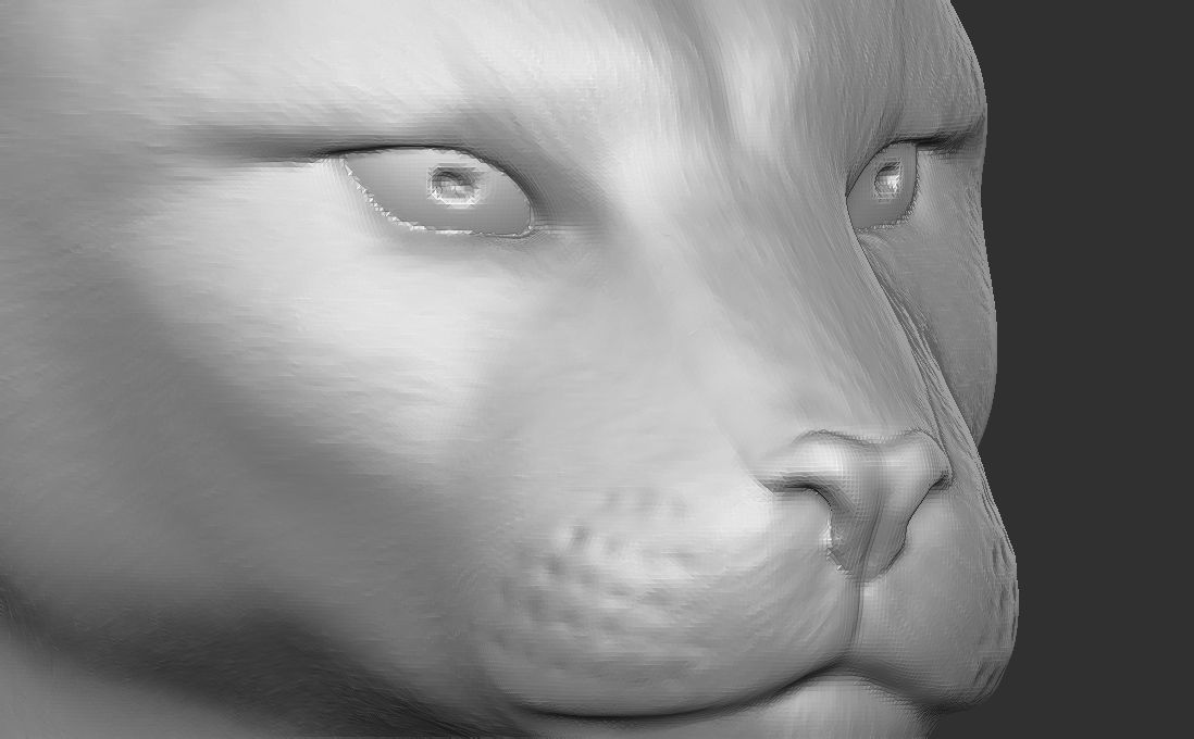 Cougar Mountain Lion head for 3D printing 3D print model_23