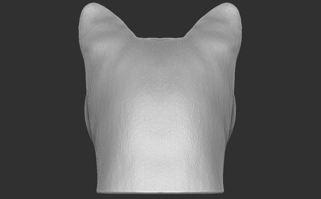 Cougar Mountain Lion head for 3D printing 3D print model_11