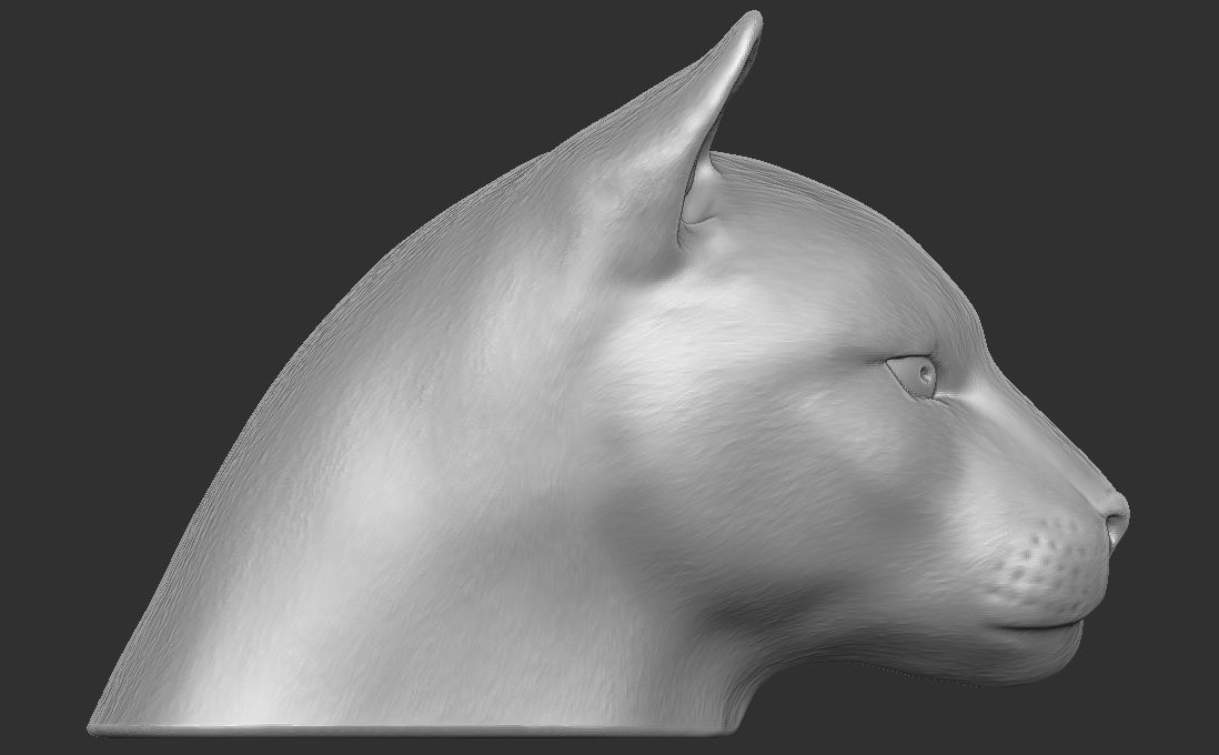 Cougar Mountain Lion head for 3D printing 3D print model_13