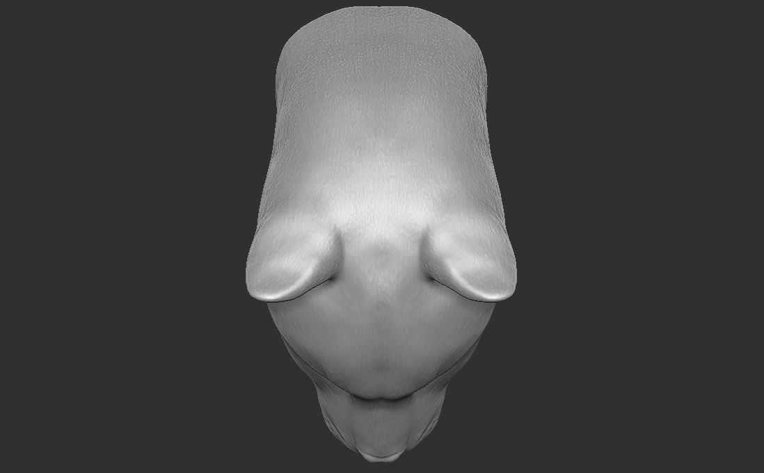 Cougar Mountain Lion head for 3D printing 3D print model_21