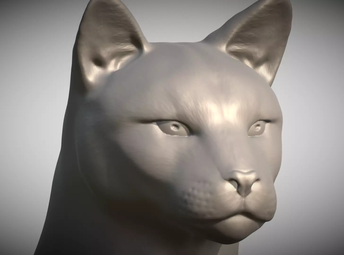 Cougar Mountain Lion head for 3D printing 3D print model_0