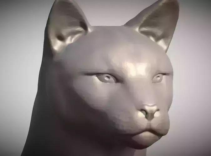 Cougar Mountain Lion head for 3D printing 3D print model