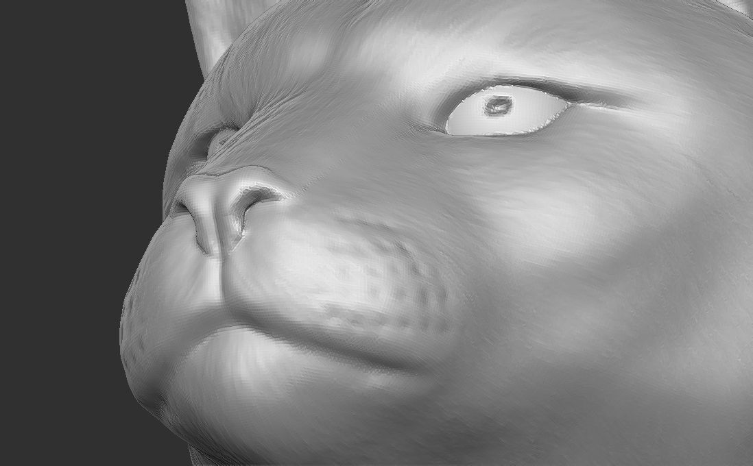 Cougar Mountain Lion head for 3D printing 3D print model_24