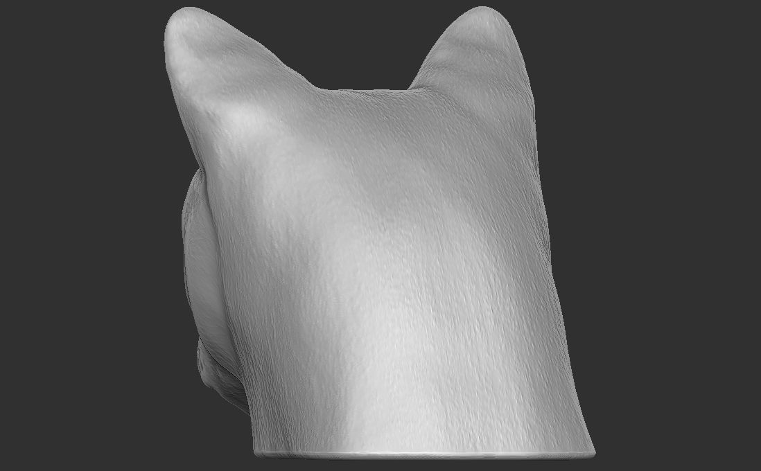 Cougar Mountain Lion head for 3D printing 3D print model_10