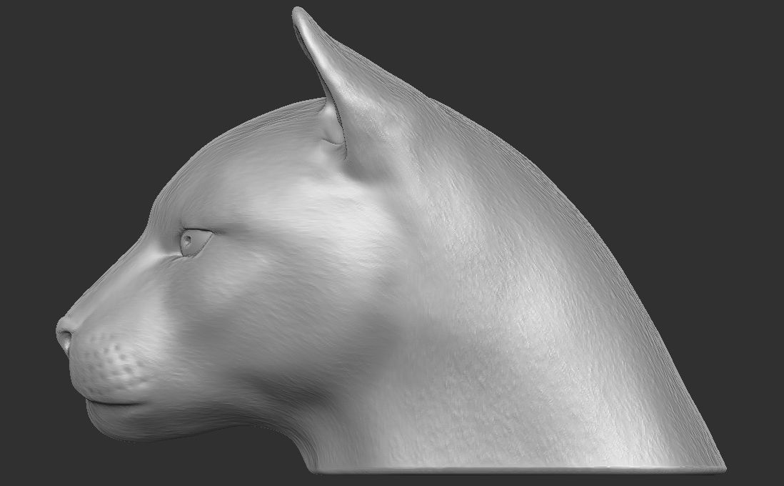 Cougar Mountain Lion head for 3D printing 3D print model_8